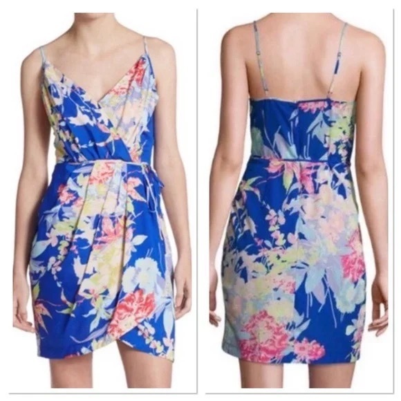 Yumi Kim Dresses & Skirts - Yumi Kim Jayne Tulip Dress Blue Floral